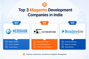 Magento development company in India